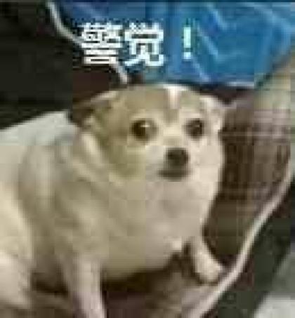 8b73b30ac6434fc457a4f801e4442e55.jpeg