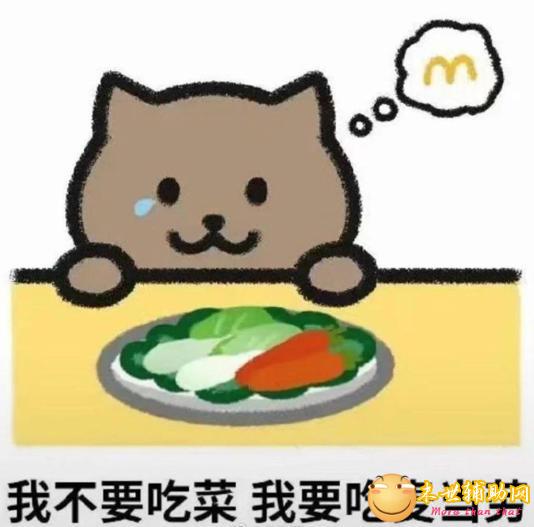 胖猫谭竹事件全过程