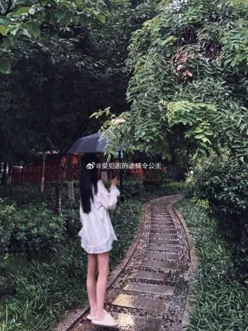 某博真空大赛